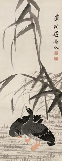 芦雁