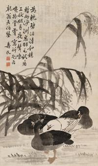 芦雁