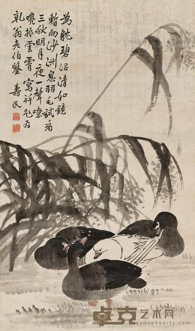 芦雁
