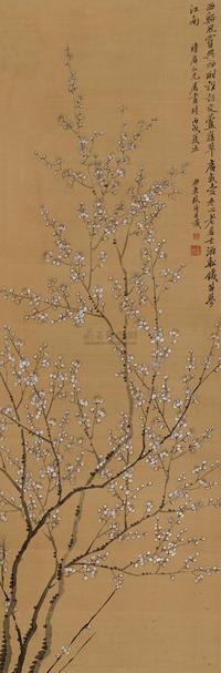 江南白梅