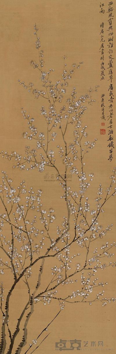 江南白梅