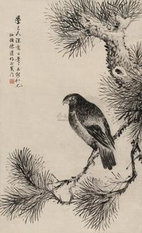 松鹰
