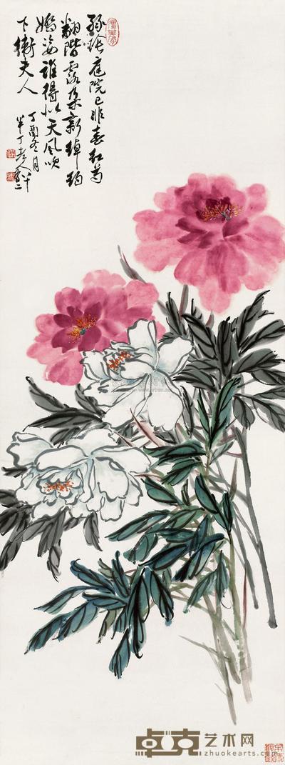 红芍药