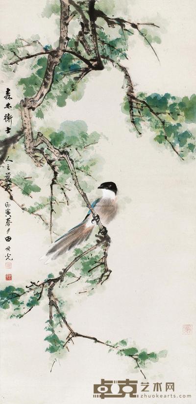 森林卫士