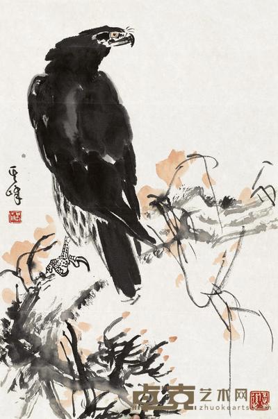 鹰