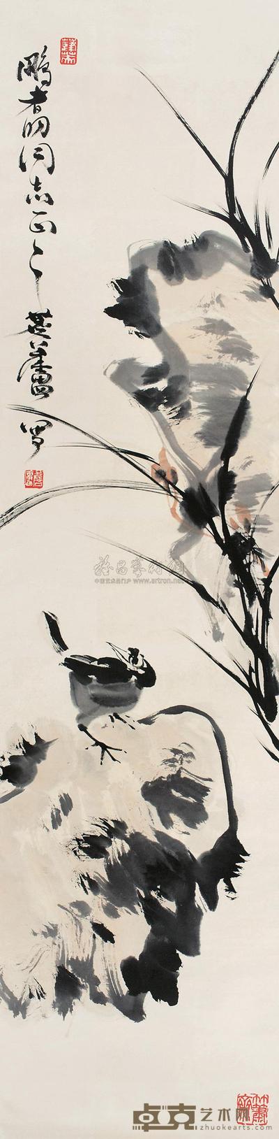 兰石鸲鹆 