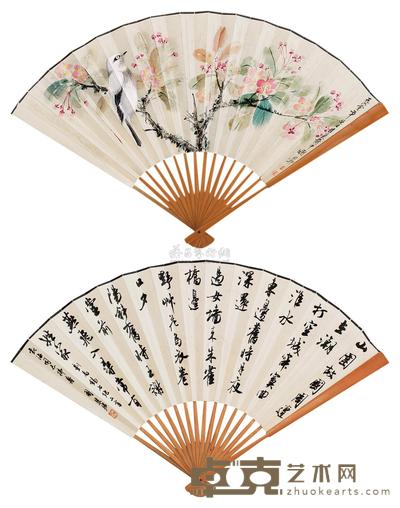 红花栖禽