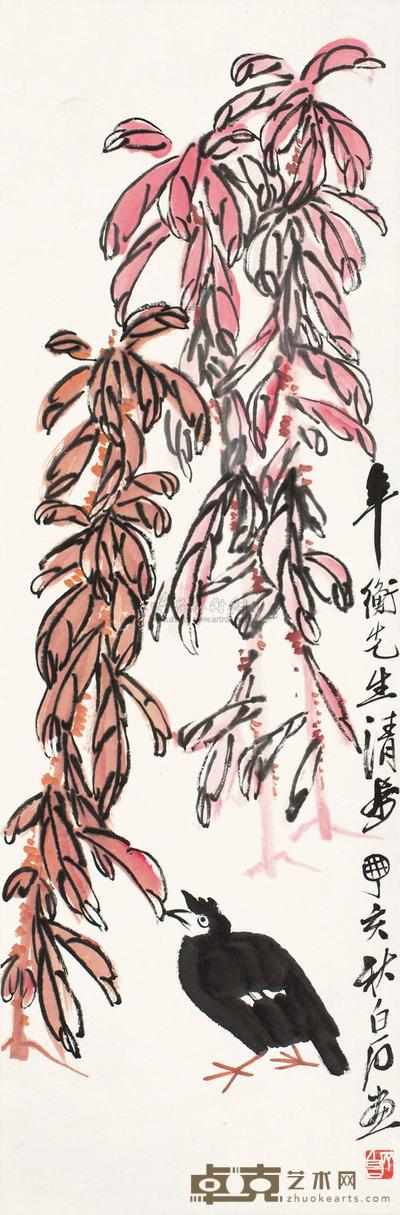 红叶八哥
