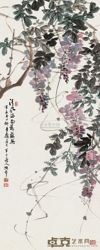 紫藤