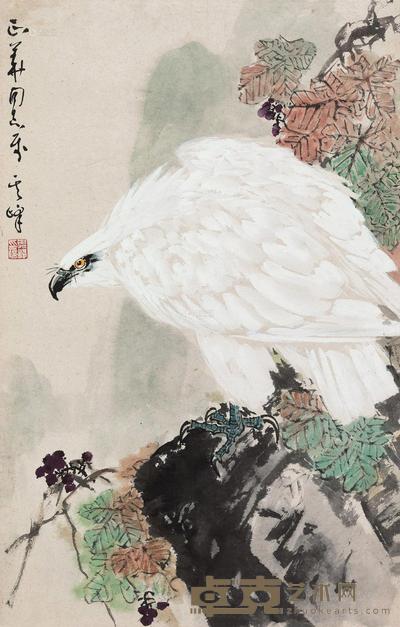 鹰