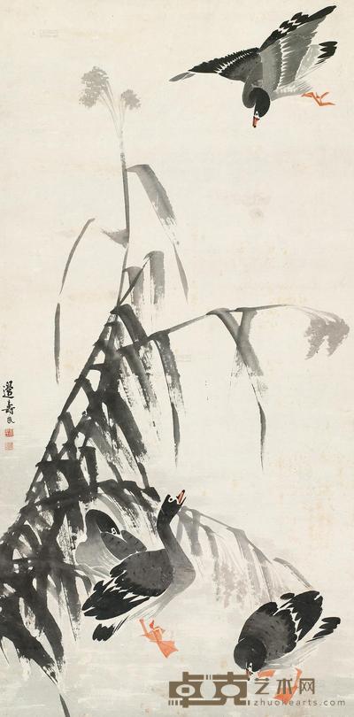 芦雁 