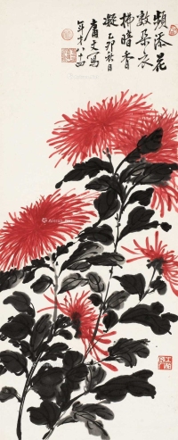 红菊
