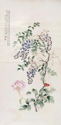 紫藤芙蓉