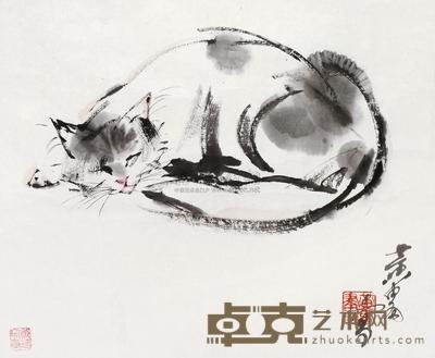 睡猫图 