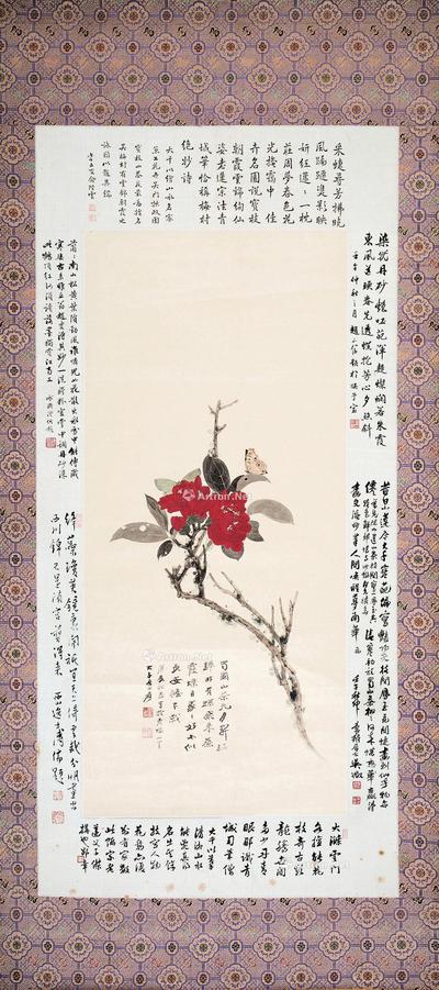 茶花蝴蝶