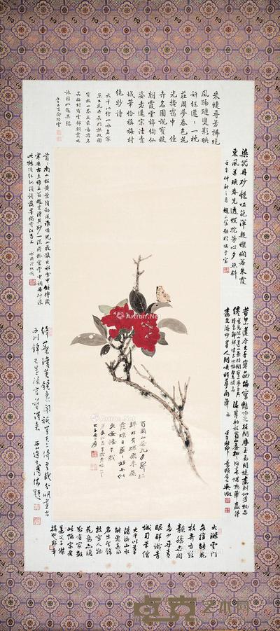 茶花蝴蝶 