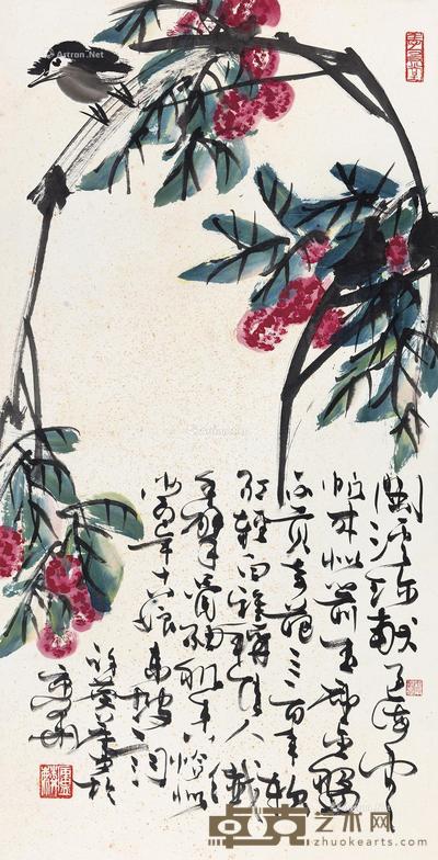 荔枝八哥 