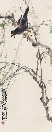柳丝八哥