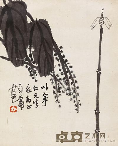 蜻蜓