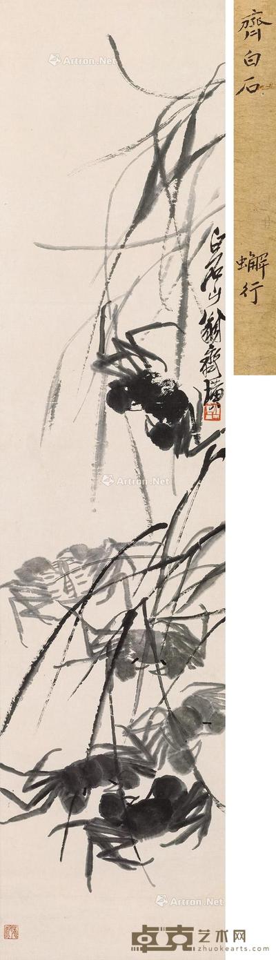 芦苇螃蟹
