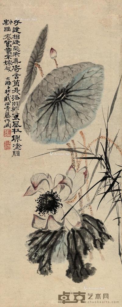 荷花图