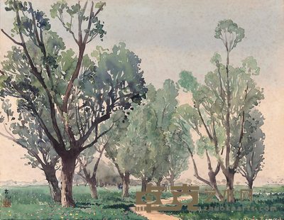 杨柳小路