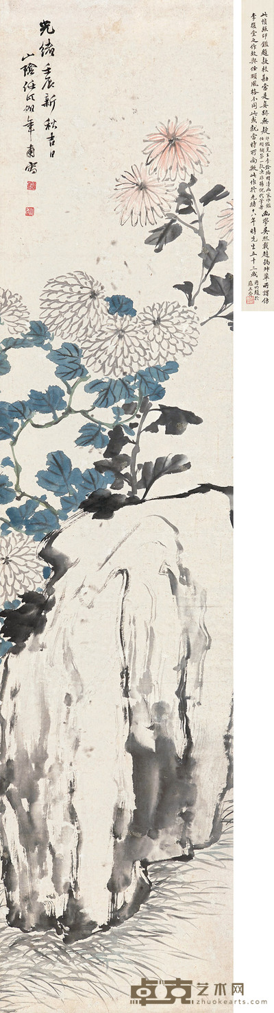 菊石图 
