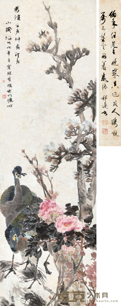 富贵孔雀 