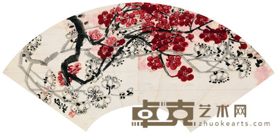 腊梅 