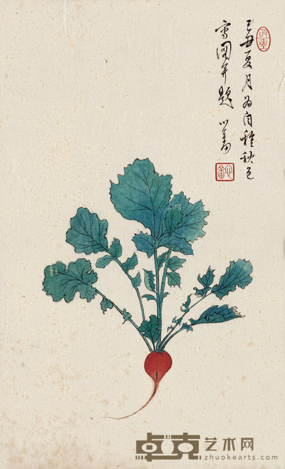 莱菔 