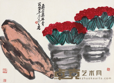 寿石万年青 