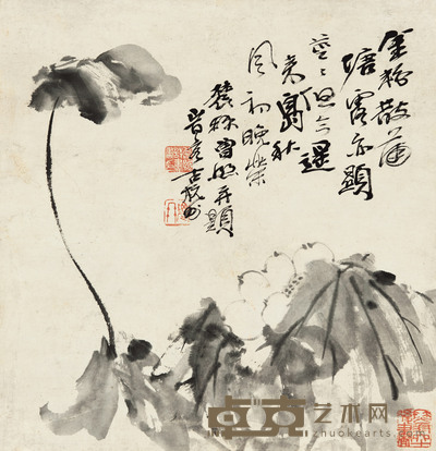 墨荷 