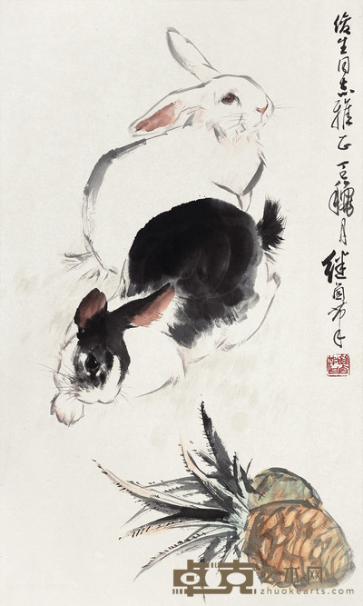 双兔