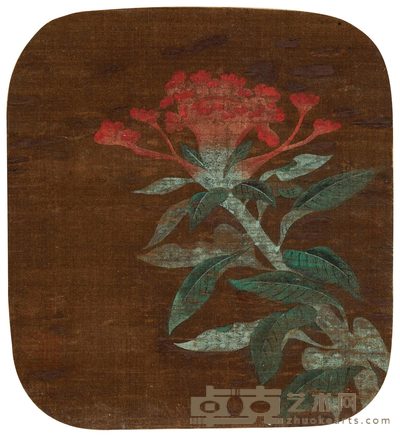 鸡冠花