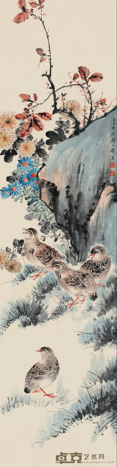 菊石鹌鹑