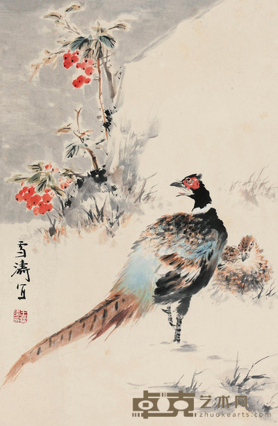 雉鸡