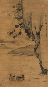 芙蓉野凫