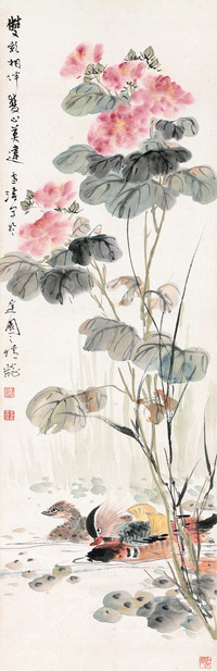 芙蓉鸳鸯