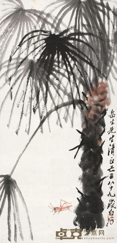 棕榈蚱蜢