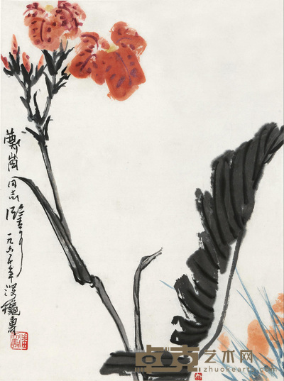 美人蕉 