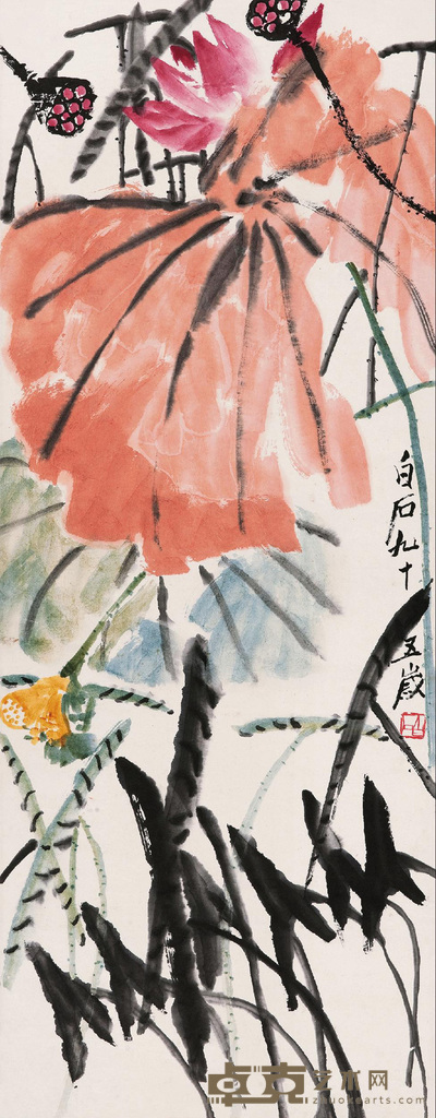 彩荷
