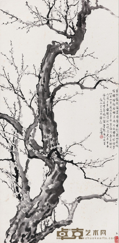 白梅虬枝
