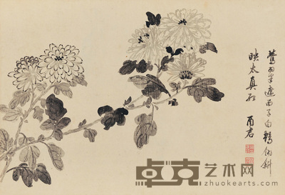 墨菊