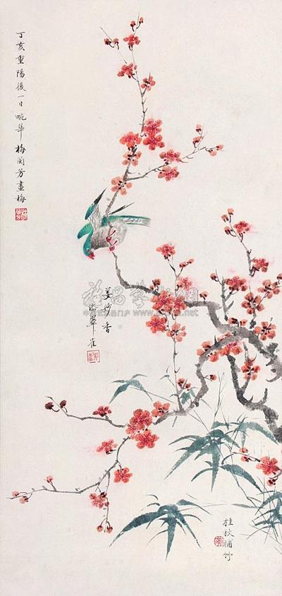 梅鸟