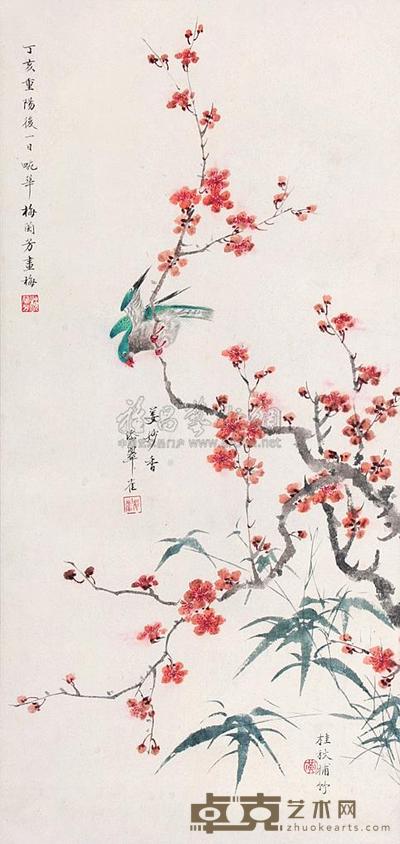 梅鸟 