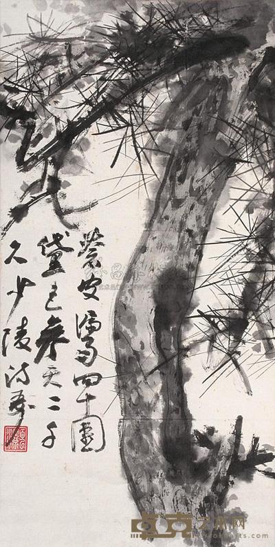 松树