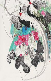 花鸟