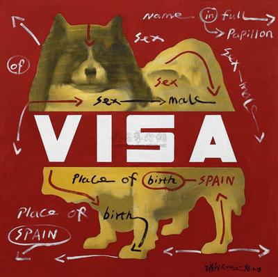 大批判－VISA