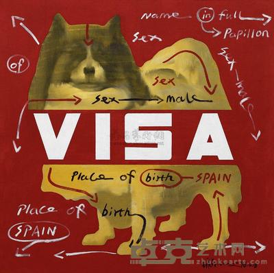 大批判－VISA 