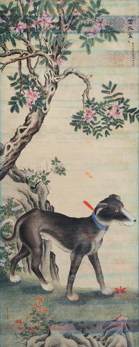 花荫骏犬